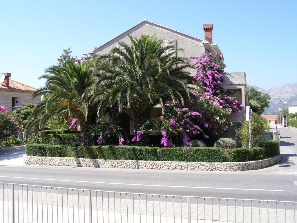 Guesthouse Klecak Cavtat Exterior foto